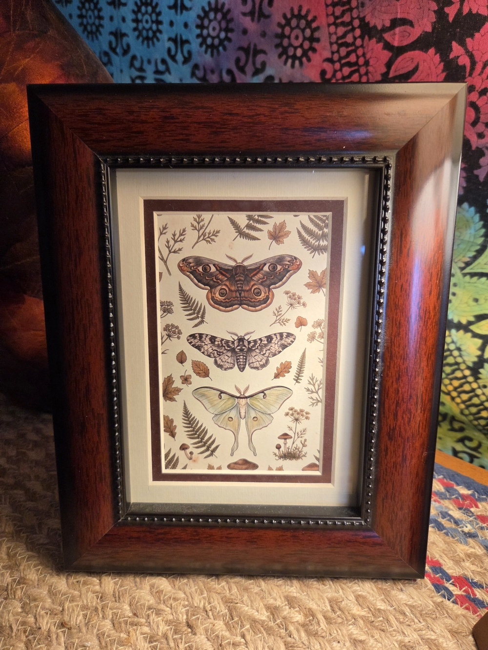 Framed Botanical Moth Art Print in Rich Mahogany Frame - Boho Folk Home Decor